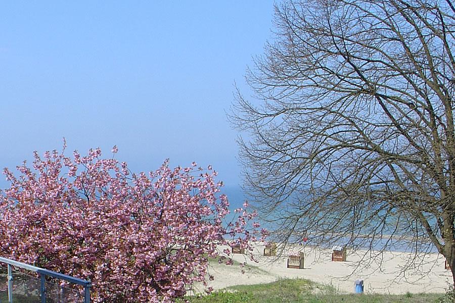Hansa Am * Timmendorfer Strand